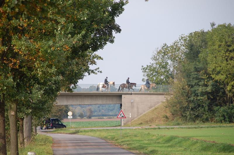 Tagesausritt Oktober 2008024.JPG